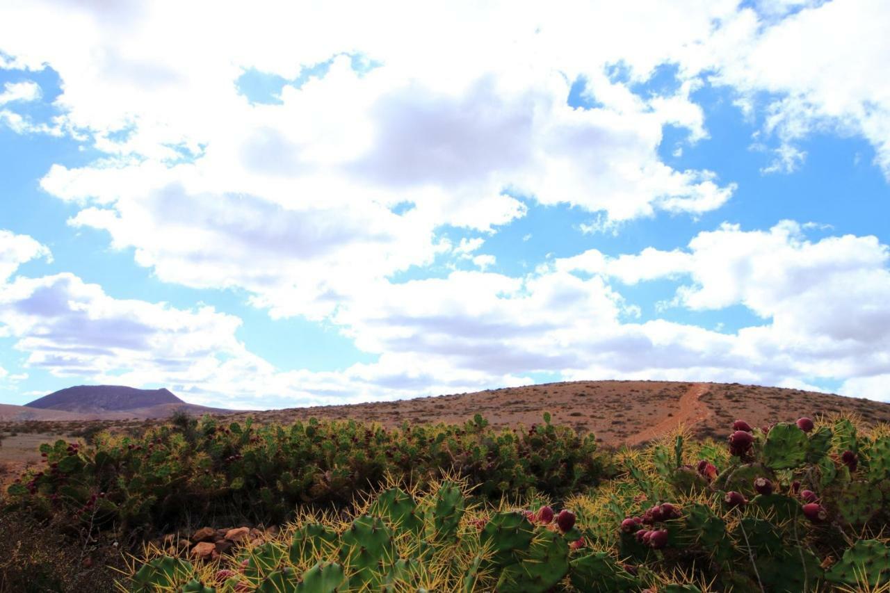 Montana Valles De Ortega - A Экстерьер фото
